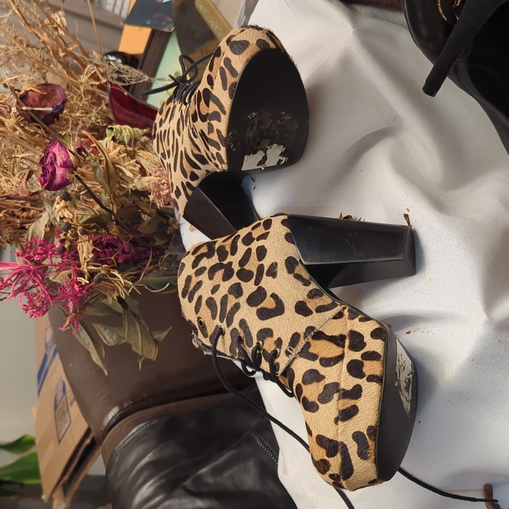 Steve Madden Cheetah Print Booties - image 5